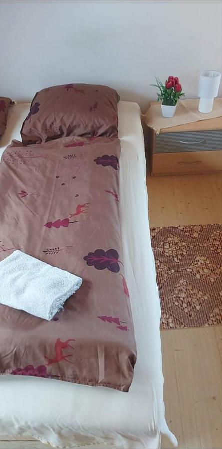 Badacsonyi Pihenes Privat Berlemeny Ξενοδοχείο Badacsonytomaj Εξωτερικό φωτογραφία