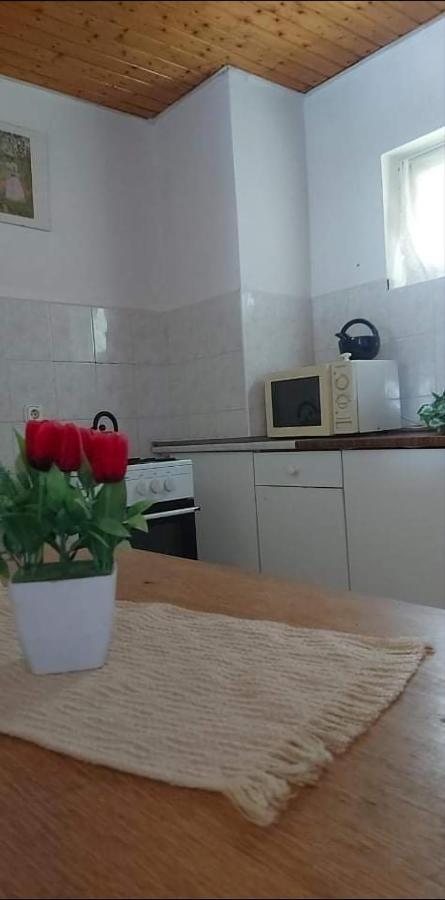 Badacsonyi Pihenes Privat Berlemeny Ξενοδοχείο Badacsonytomaj Εξωτερικό φωτογραφία
